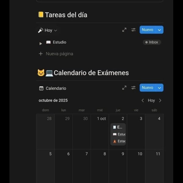 corte1 2cerebro - 2025
